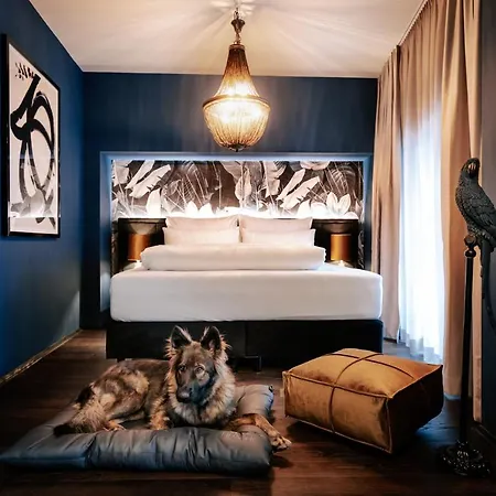 Aiola Living Ξενοδοχείο 4*